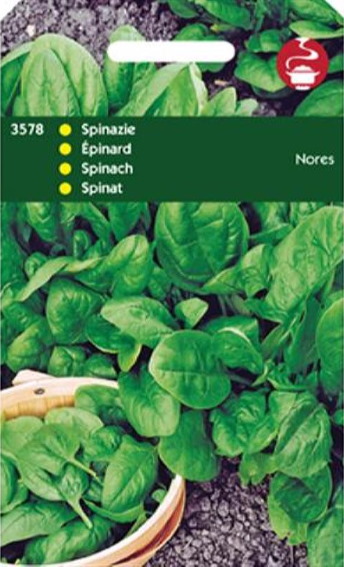 Spinach Nores (Spinacia) 3500 seeds HT